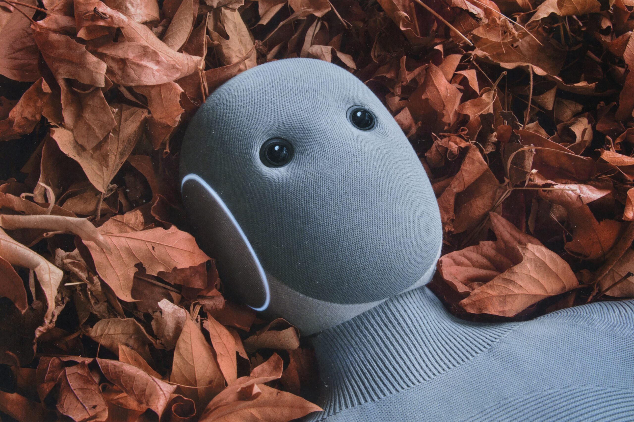 Head of the 1X NEO home humanoid robot, official 1X photo